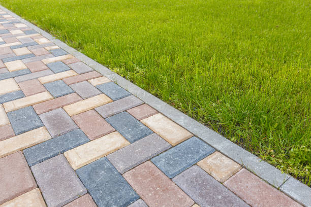 Best Professional Driveway Pavers  in South Williamsport, PA